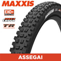 MAXXIS MOUNTAIN - ASSEGAI - 29X2.50 - MaxxTerra / EXO+ / TR - Foldable 60 TPI E25
