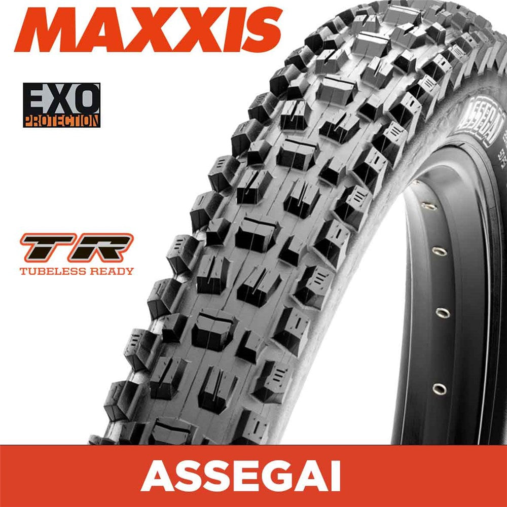 MAXXIS MOUNTAIN - ASSEGAI - 29X2.50 - EXO / TR - Foldable 60 TPI E25
