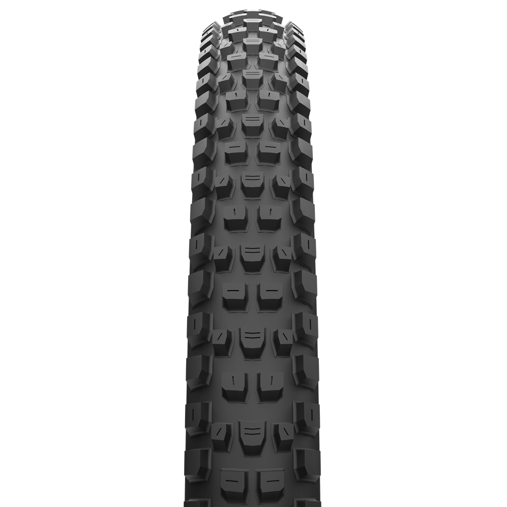 MAXXIS Mountain - DISSECTOR - 29X2.40 - EXO / TR - Wire 60 TPI E25