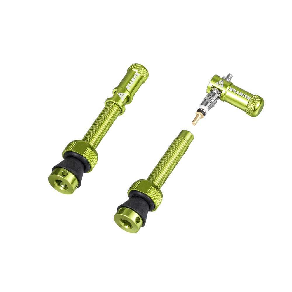 GRANITE JUICY - Valve stem with Juicy valve cap 44mm - 2PC - Gold